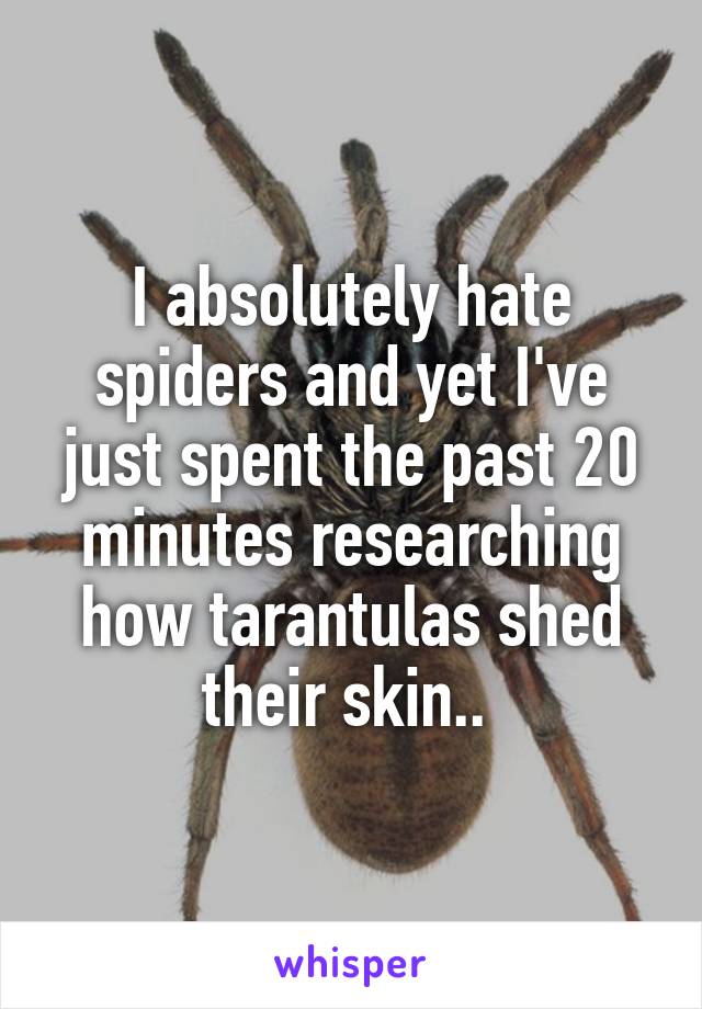 I absolutely hate spiders and yet I've just spent the past 20 minutes researching how tarantulas shed their skin.. 