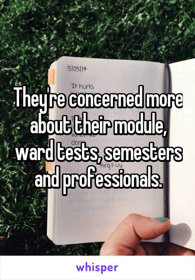 They're concerned more about their module, ward tests, semesters and professionals.
