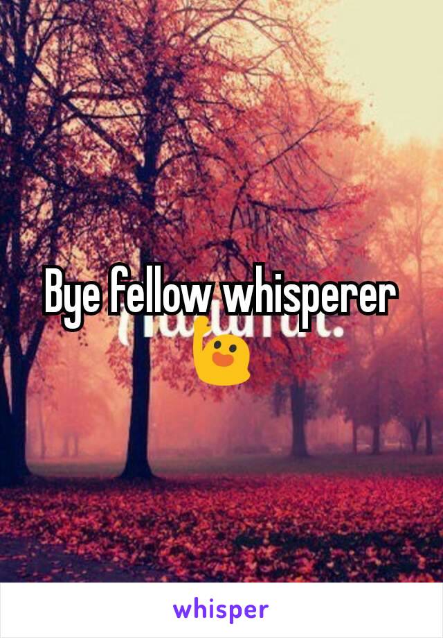 Bye fellow whisperer 🙋