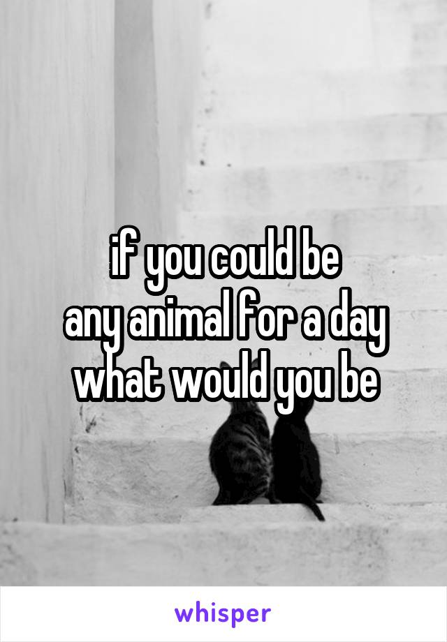 if you could be
any animal for a day
what would you be