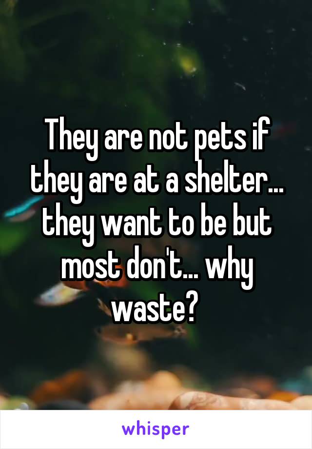 They are not pets if they are at a shelter... they want to be but most don't... why waste? 