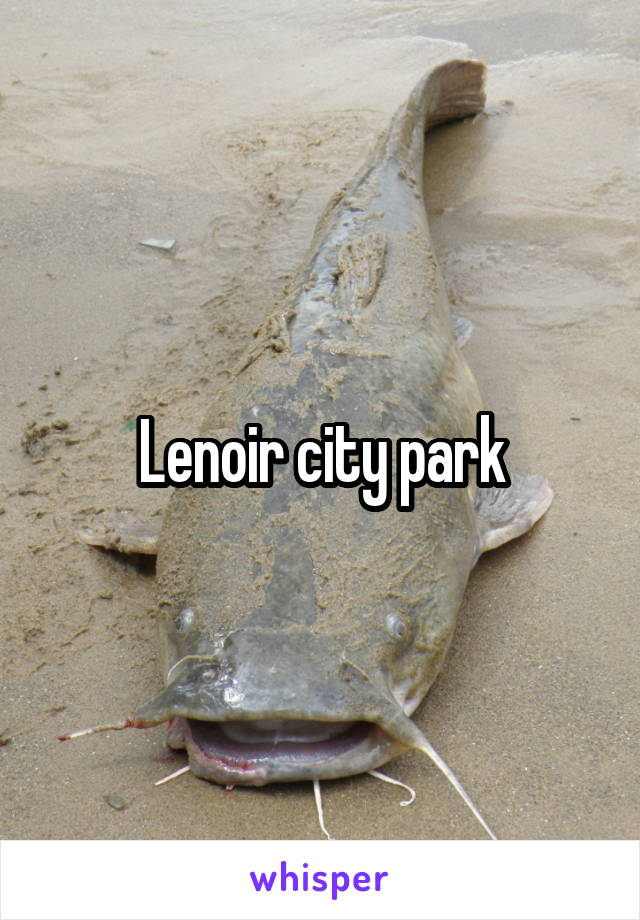 Lenoir city park