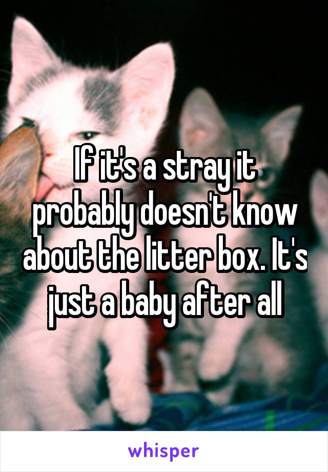 If it's a stray it probably doesn't know about the litter box. It's just a baby after all