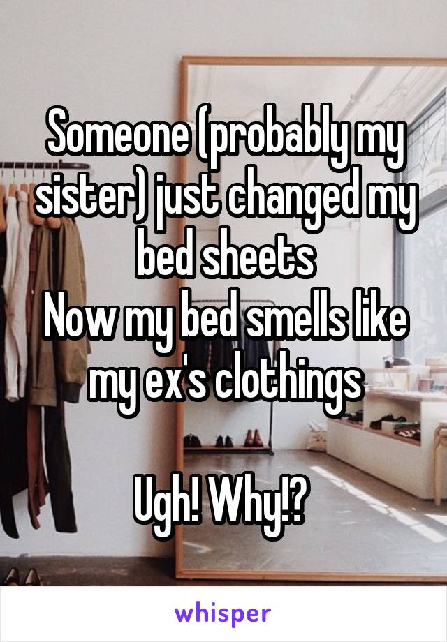 Someone (probably my sister) just changed my bed sheets
Now my bed smells like my ex's clothings

Ugh! Why!? 