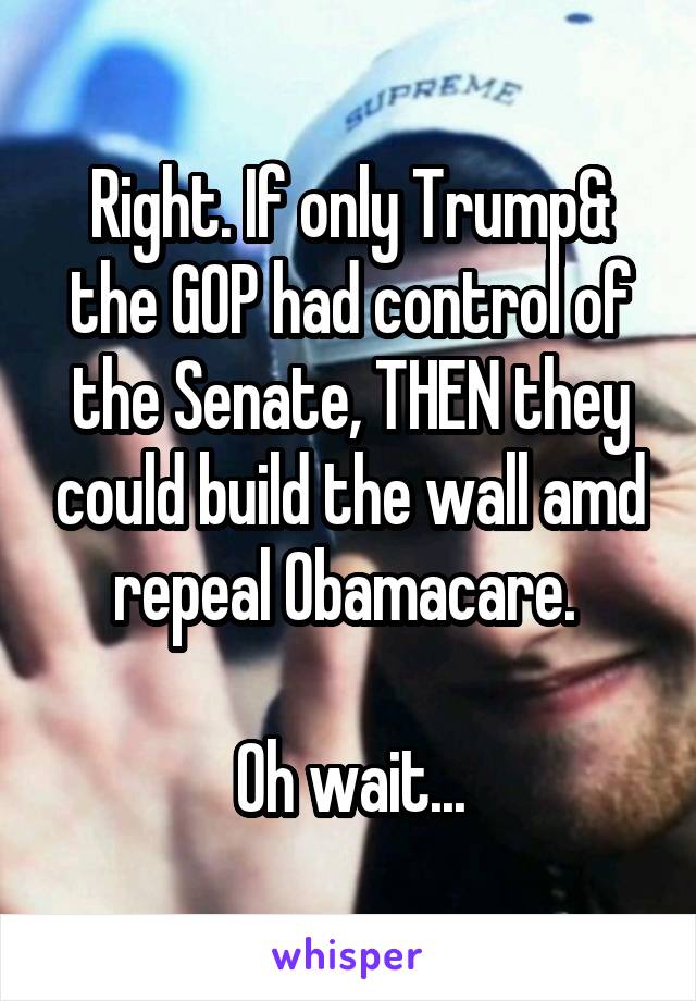 Right. If only Trump& the GOP had control of the Senate, THEN they could build the wall amd repeal Obamacare. 

Oh wait...