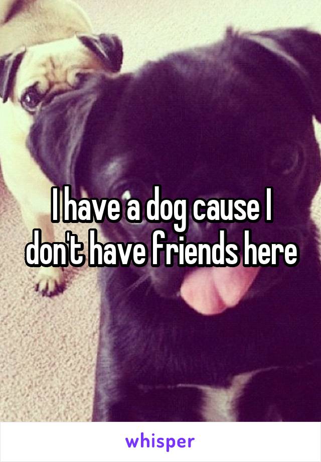 I have a dog cause I don't have friends here