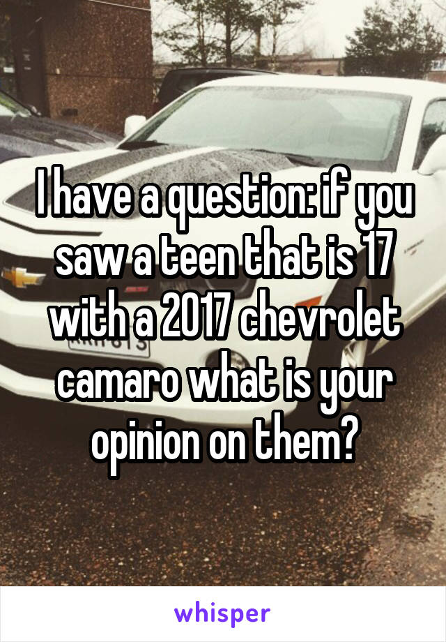 I have a question: if you saw a teen that is 17 with a 2017 chevrolet camaro what is your opinion on them?