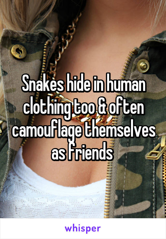 Snakes hide in human clothing too & often camouflage themselves as friends 