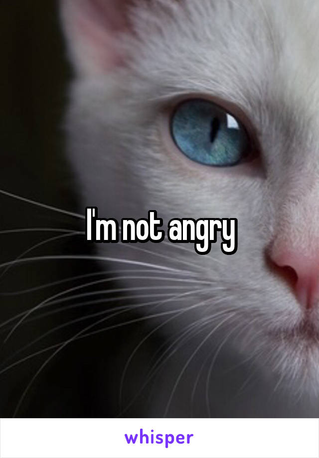 I'm not angry