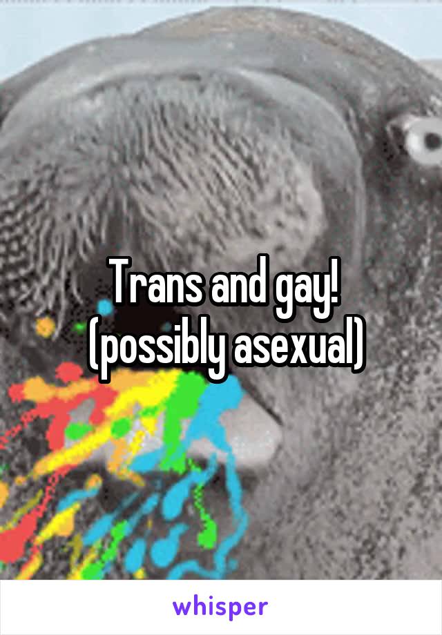 Trans and gay!
 (possibly asexual)