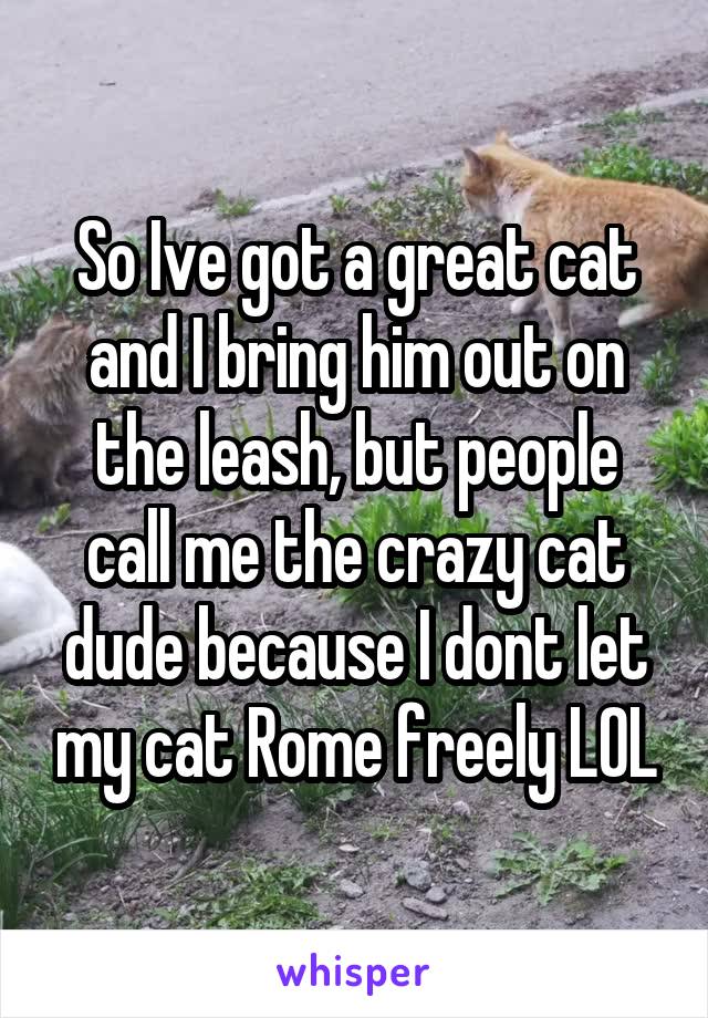 So Ive got a great cat and I bring him out on the leash, but people call me the crazy cat dude because I dont let my cat Rome freely LOL