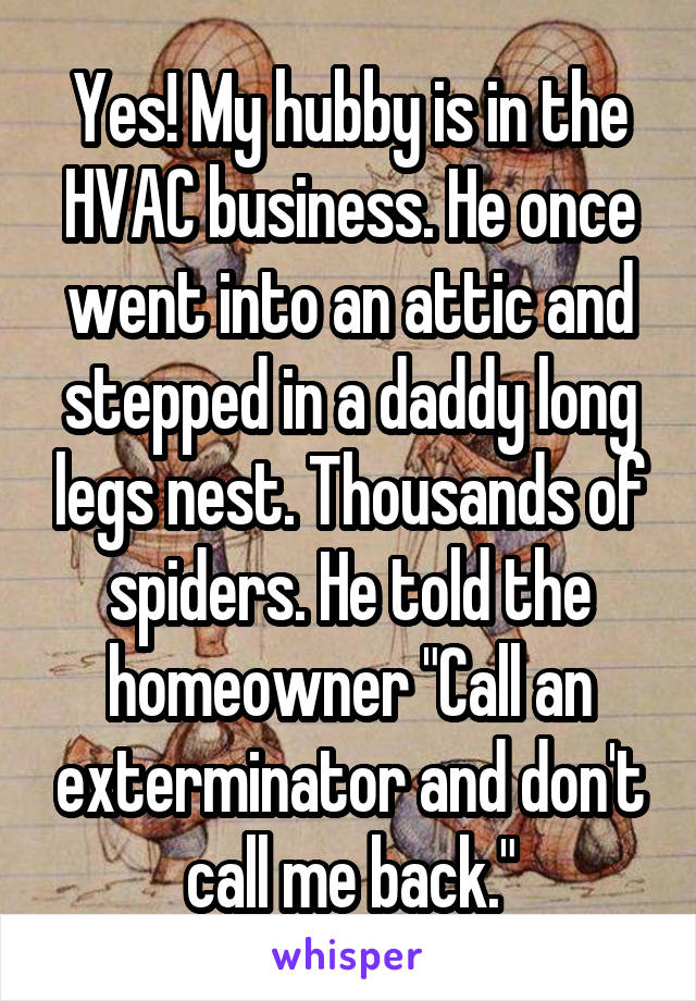 Yes! My hubby is in the HVAC business. He once went into an attic and stepped in a daddy long legs nest. Thousands of spiders. He told the homeowner "Call an exterminator and don't call me back."