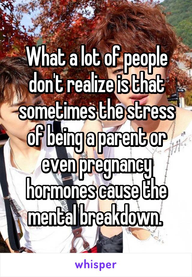 What a lot of people don't realize is that sometimes the stress of being a parent or even pregnancy hormones cause the mental breakdown. 