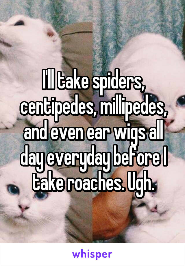 I'll take spiders, centipedes, millipedes, and even ear wigs all day everyday before I take roaches. Ugh.