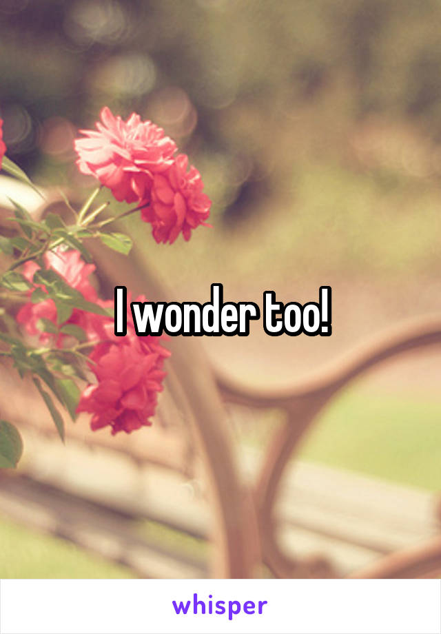 I wonder too!