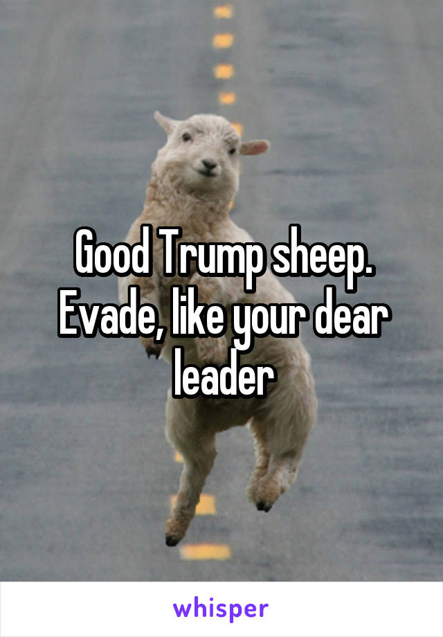 Good Trump sheep. Evade, like your dear leader