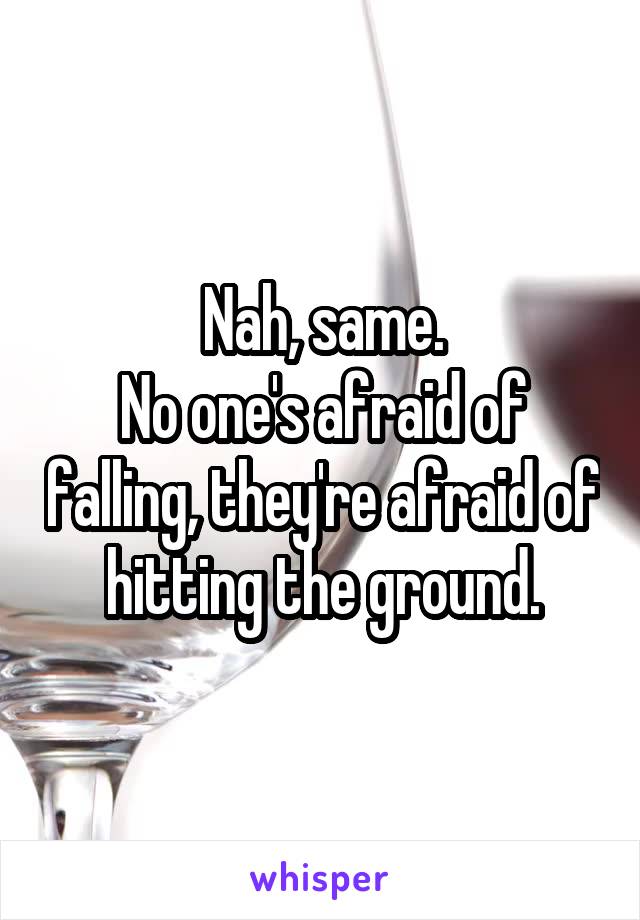 Nah, same.
No one's afraid of falling, they're afraid of hitting the ground.