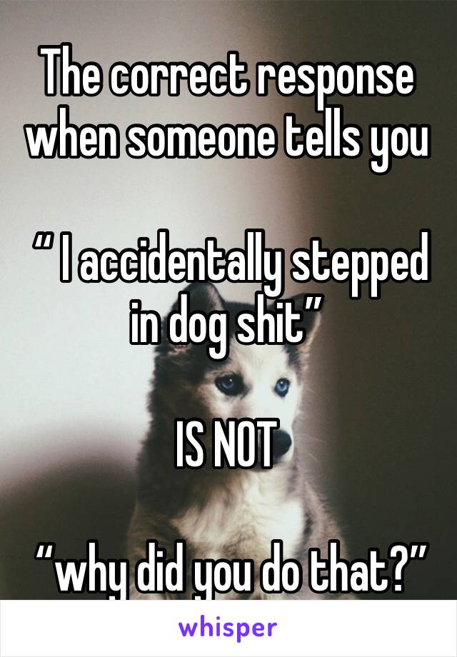 The correct response when someone tells you

 “ I accidentally stepped in dog shit”

IS NOT

 “why did you do that?”