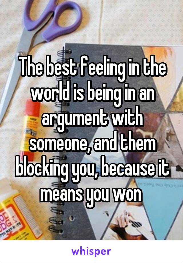 The best feeling in the world is being in an argument with someone, and them blocking you, because it means you won 
