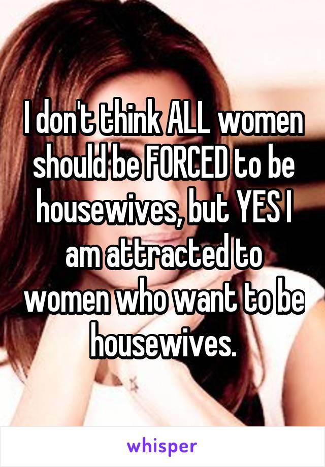 I don't think ALL women should be FORCED to be housewives, but YES I am attracted to women who want to be housewives.
