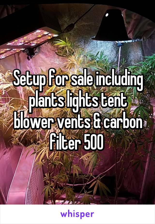 Setup for sale including plants lights tent blower vents & carbon filter 500 