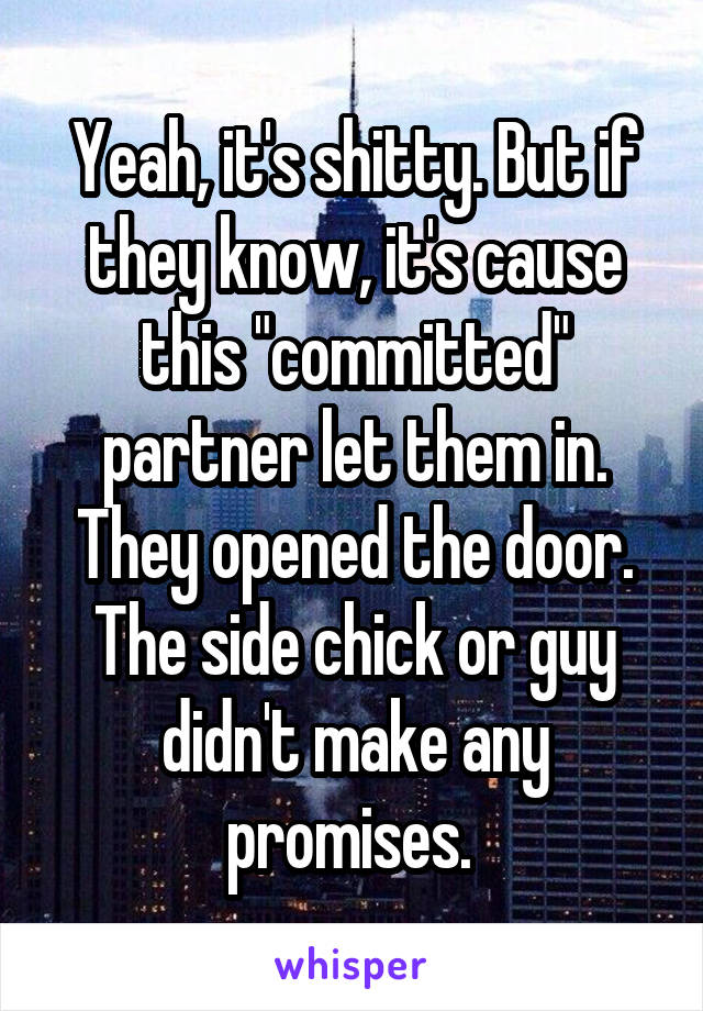 Yeah, it's shitty. But if they know, it's cause this "committed" partner let them in. They opened the door. The side chick or guy didn't make any promises. 