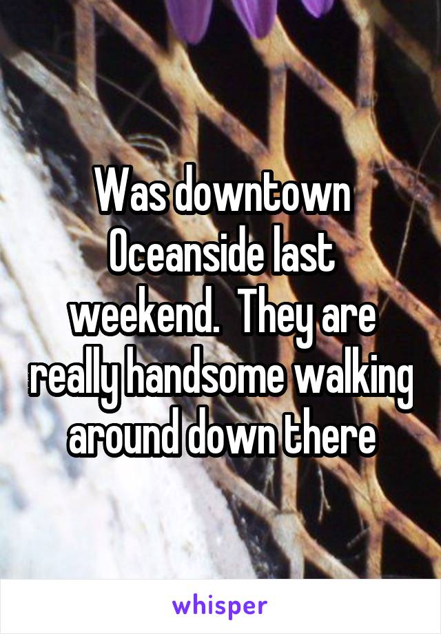 Was downtown Oceanside last weekend.  They are really handsome walking around down there