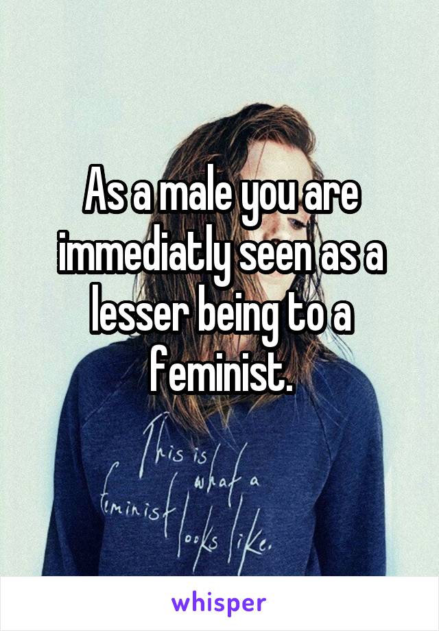 As a male you are immediatly seen as a lesser being to a feminist.
