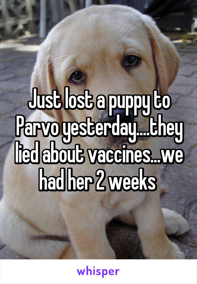 Just lost a puppy to Parvo yesterday....they lied about vaccines...we had her 2 weeks 