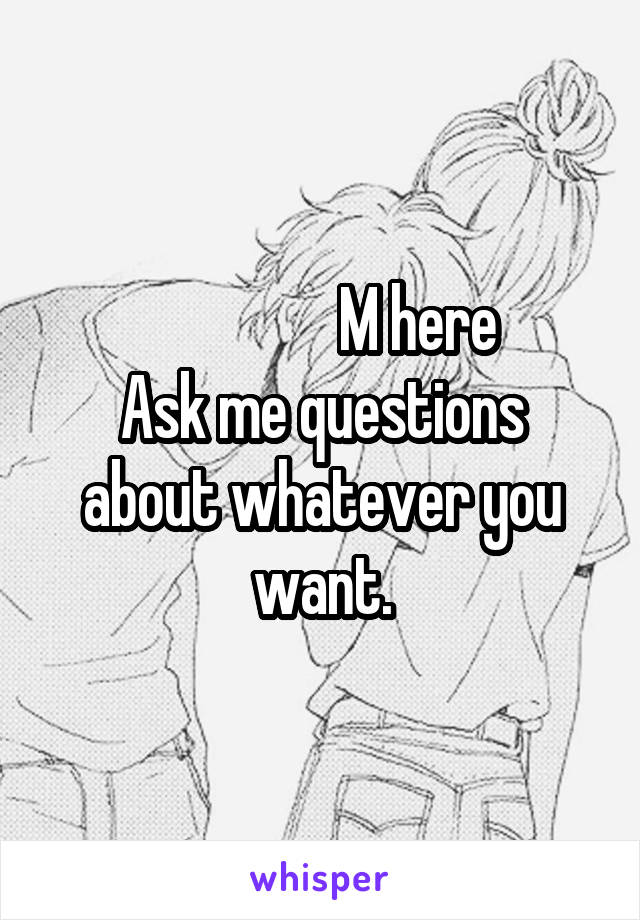                  M here 
Ask me questions about whatever you want.