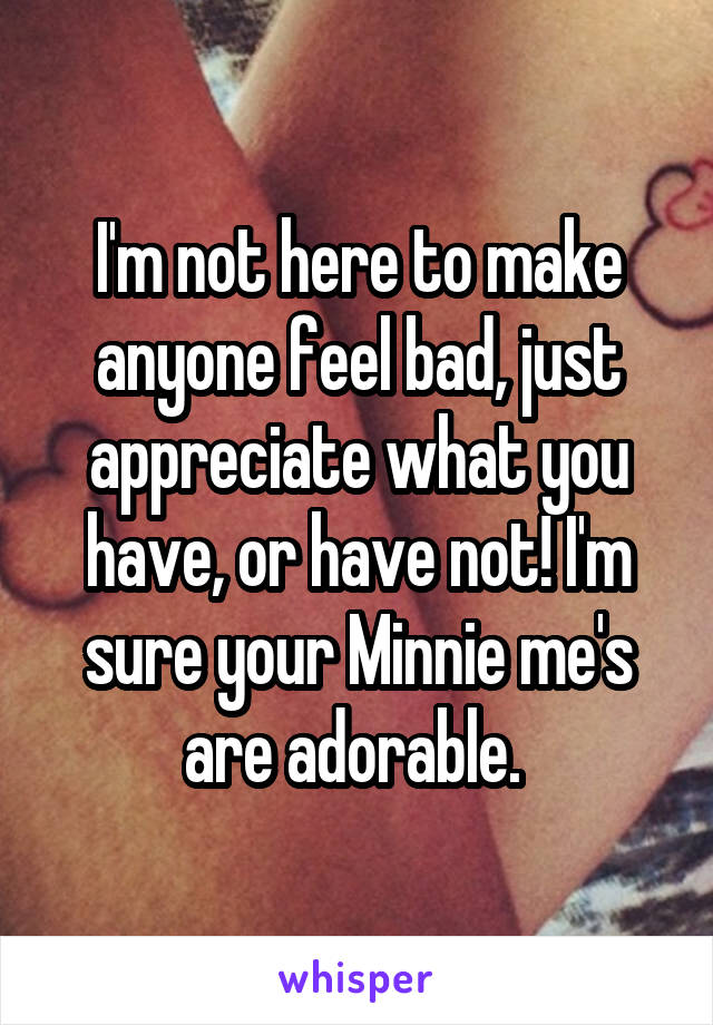 I'm not here to make anyone feel bad, just appreciate what you have, or have not! I'm sure your Minnie me's are adorable. 