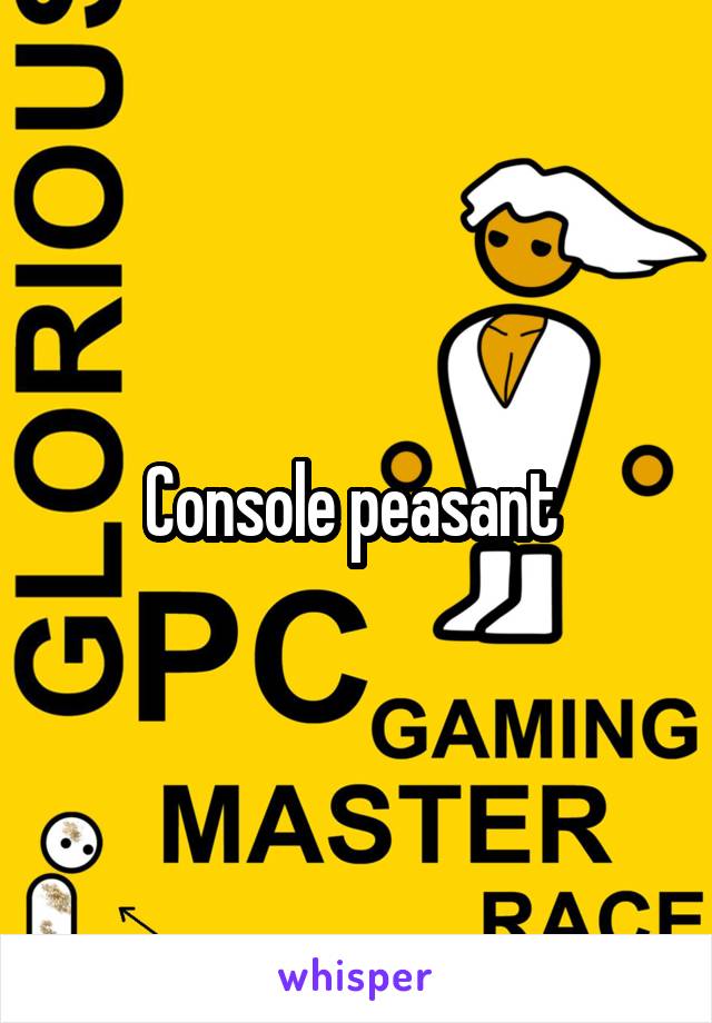 Console peasant 