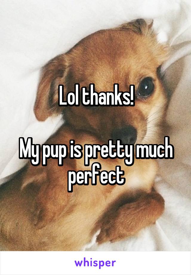 Lol thanks!

My pup is pretty much perfect