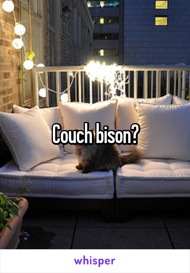 Couch bison?
