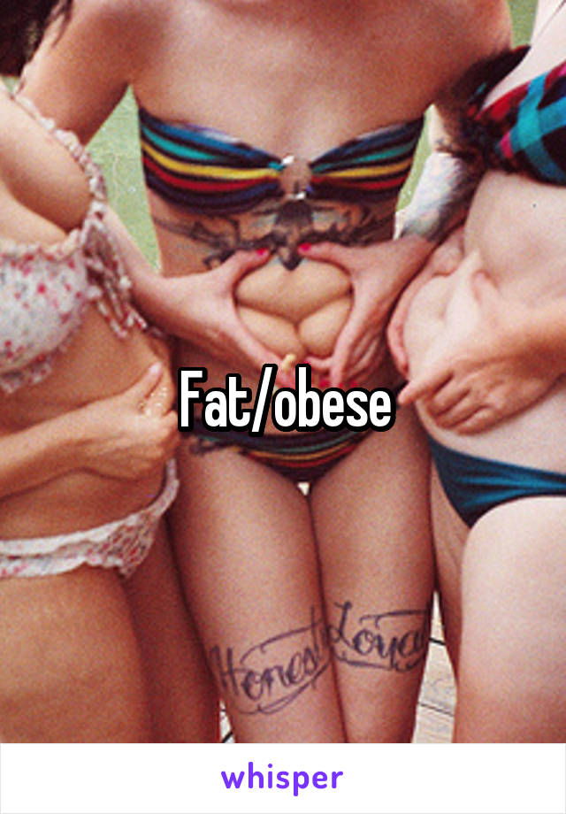 Fat/obese