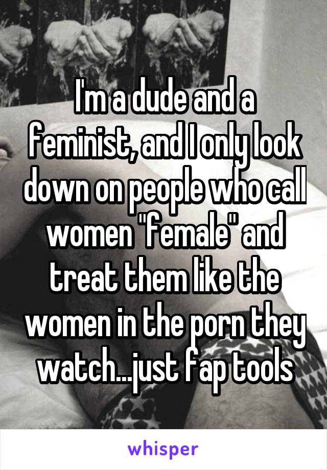 I'm a dude and a feminist, and I only look down on people who call women "female" and treat them like the women in the porn they watch...just fap tools
