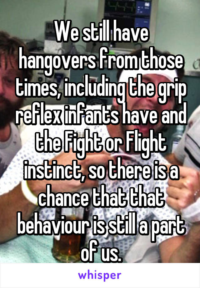 We still have hangovers from those times, including the grip reflex infants have and the Fight or Flight instinct, so there is a chance that that behaviour is still a part of us.