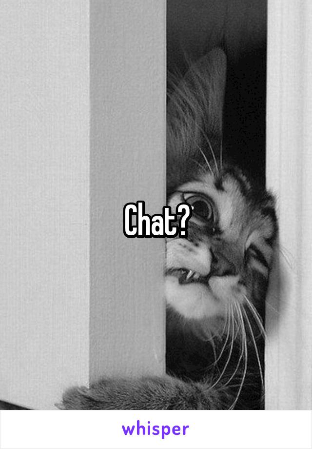 Chat?