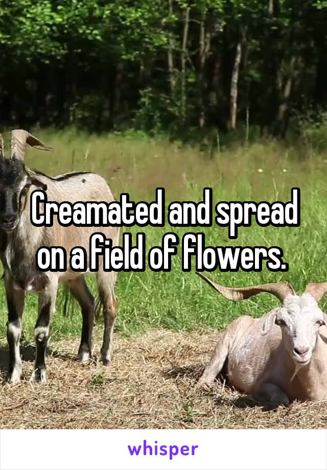 Creamated and spread on a field of flowers. 