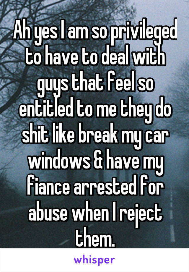 Ah yes I am so privileged to have to deal with guys that feel so entitled to me they do shit like break my car windows & have my fiance arrested for abuse when I reject them.
