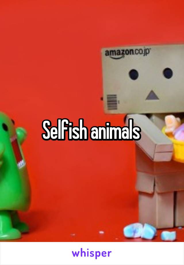Selfish animals 
