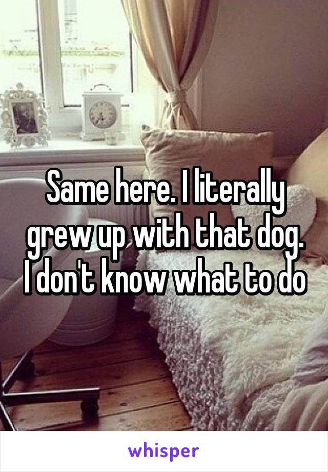 Same here. I literally grew up with that dog. I don't know what to do