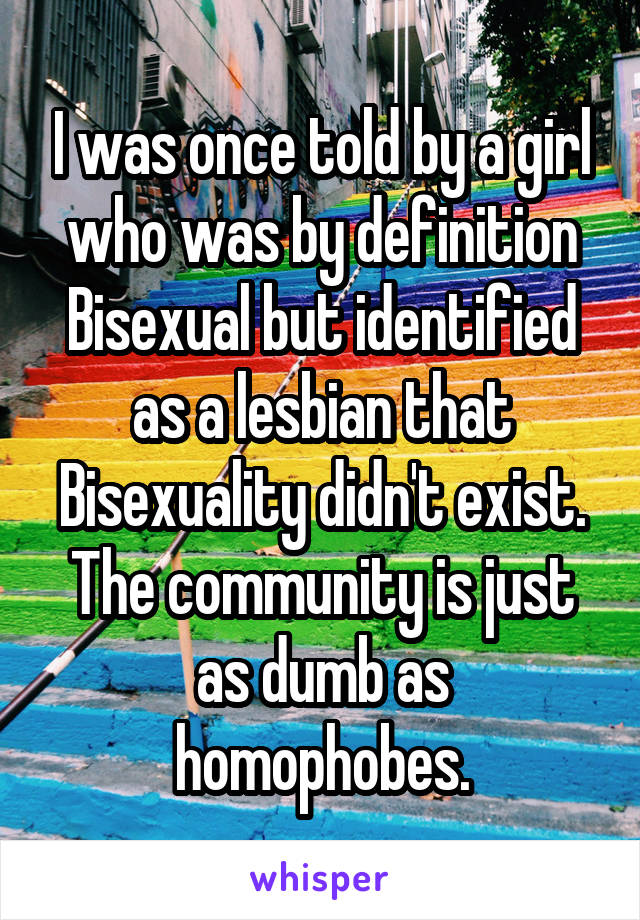 I was once told by a girl who was by definition Bisexual but identified as a lesbian that Bisexuality didn't exist. The community is just as dumb as homophobes.