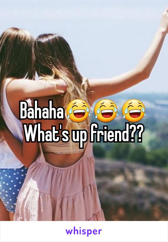 Bahaha😂😂😂
What's up friend??