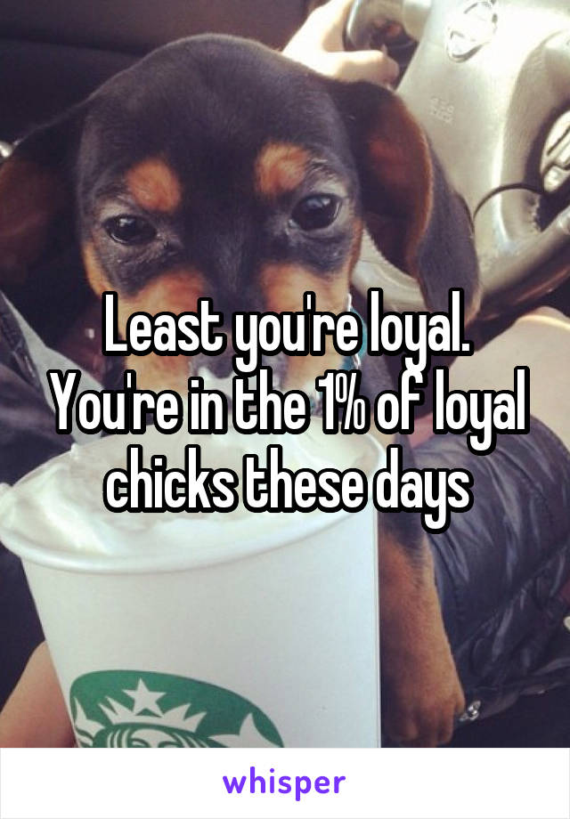 Least you're loyal. You're in the 1% of loyal chicks these days
