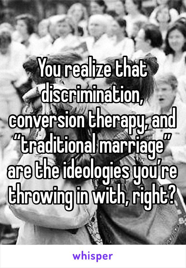 You realize that discrimination, conversion therapy, and “traditional marriage” are the ideologies you’re throwing in with, right?