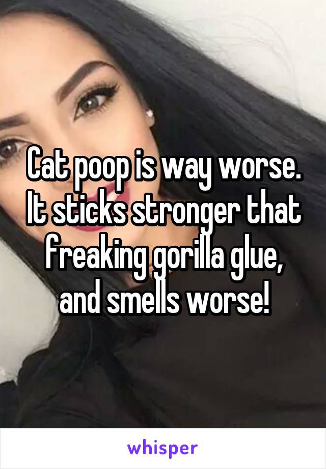 Cat poop is way worse. It sticks stronger that freaking gorilla glue, and smells worse!