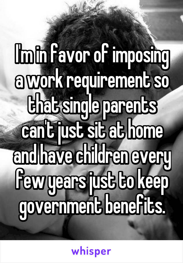 I'm in favor of imposing a work requirement so that single parents can't just sit at home and have children every few years just to keep government benefits.