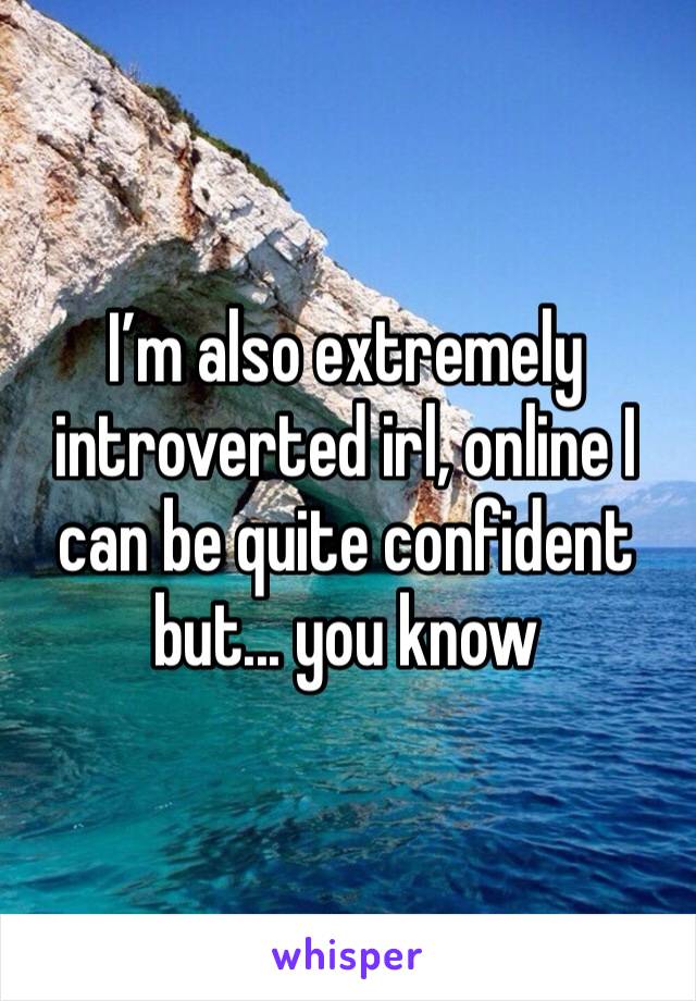 I’m also extremely introverted irl, online I can be quite confident but... you know