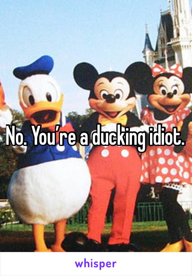 No. You’re a ducking idiot.